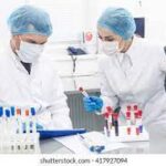 LYMPHOCYTE  ENUMERATION PANEL                              BASIC & HIV - 1 ANTIBODIES